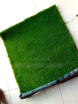 Artificial Grass Turf/Grass