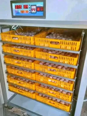 2112egg Incubator/Quality Ac/Dc Egg Incubator