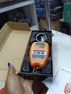 Hanging Scale 200kg/Digital Weighing Scale