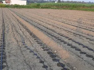 Drip Irrigation Installation