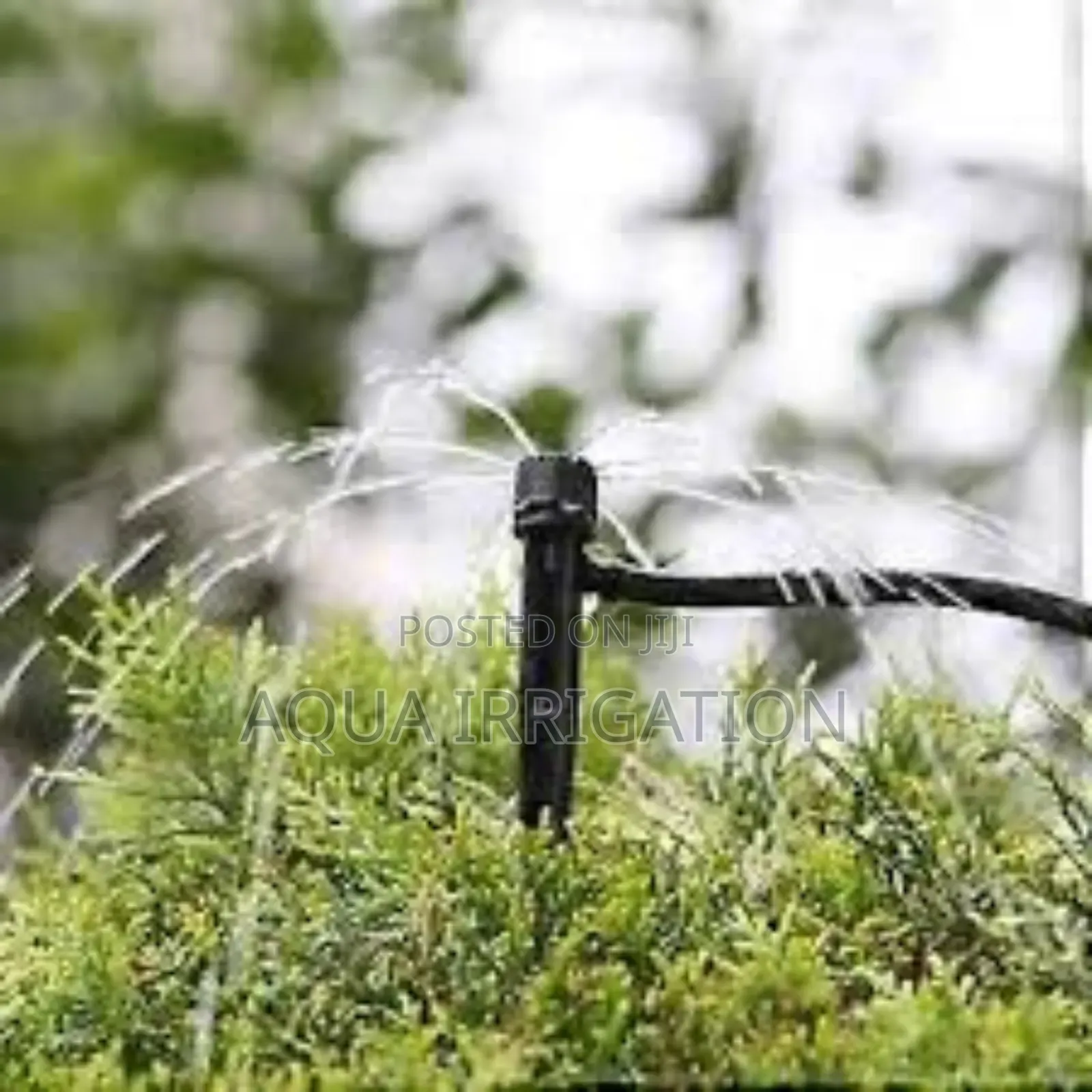 Perfect Irrigation Control With Button Drippers