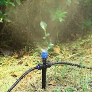 Affordable Button Drippers for Home Irrigation