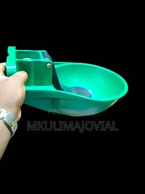 Automatic Cow Drinker Feeder