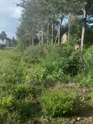 1/8 Plots Kaurrai Road (1km From Tarmac)