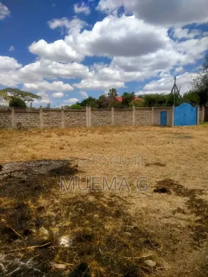 100×100 Plot for Sale