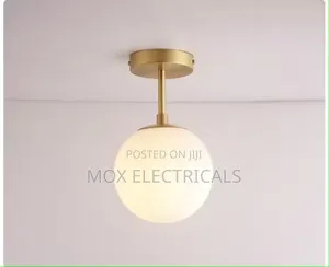 Mahganya Decoration Modern Ceiling Lamp