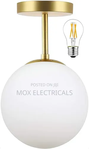 Mahganya Decoration Modern Ceiling Lamp