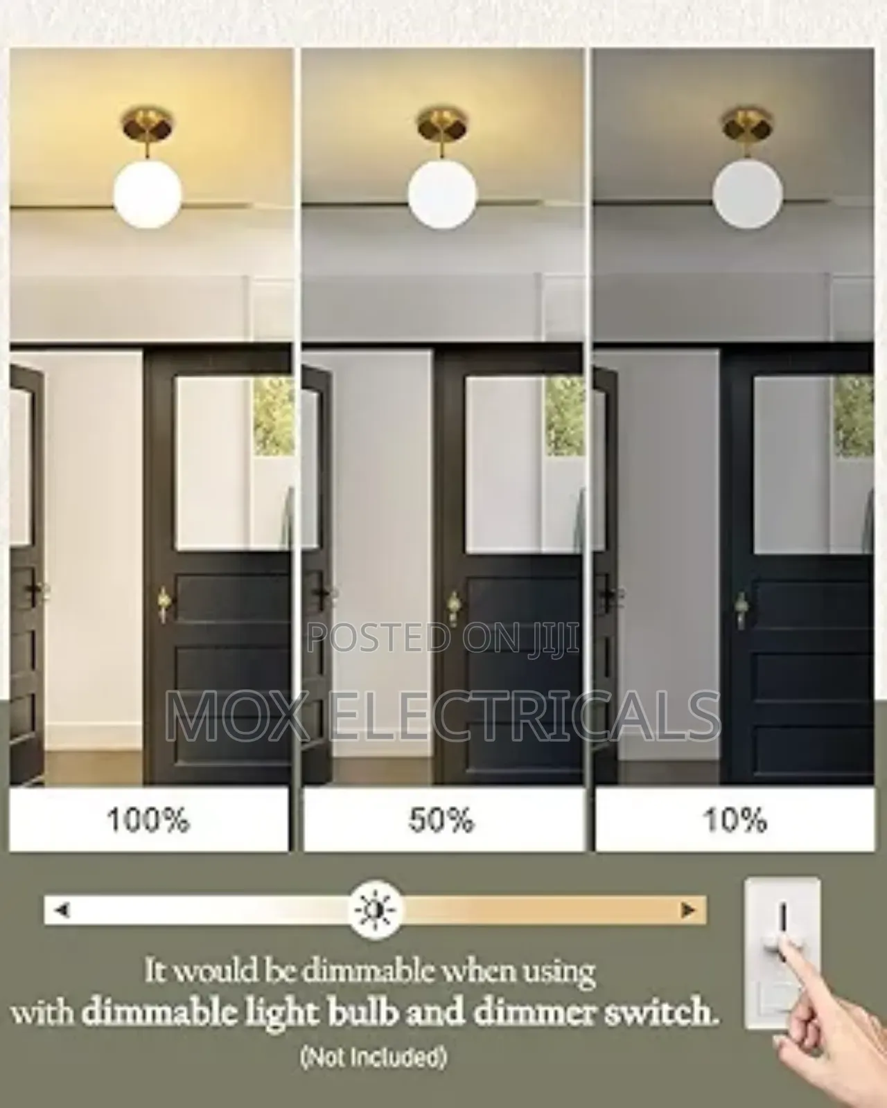 Mahganya Decoration Modern Ceiling Lamp