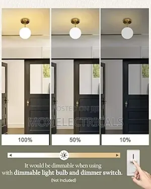 Mahganya Decoration Modern Ceiling Lamp