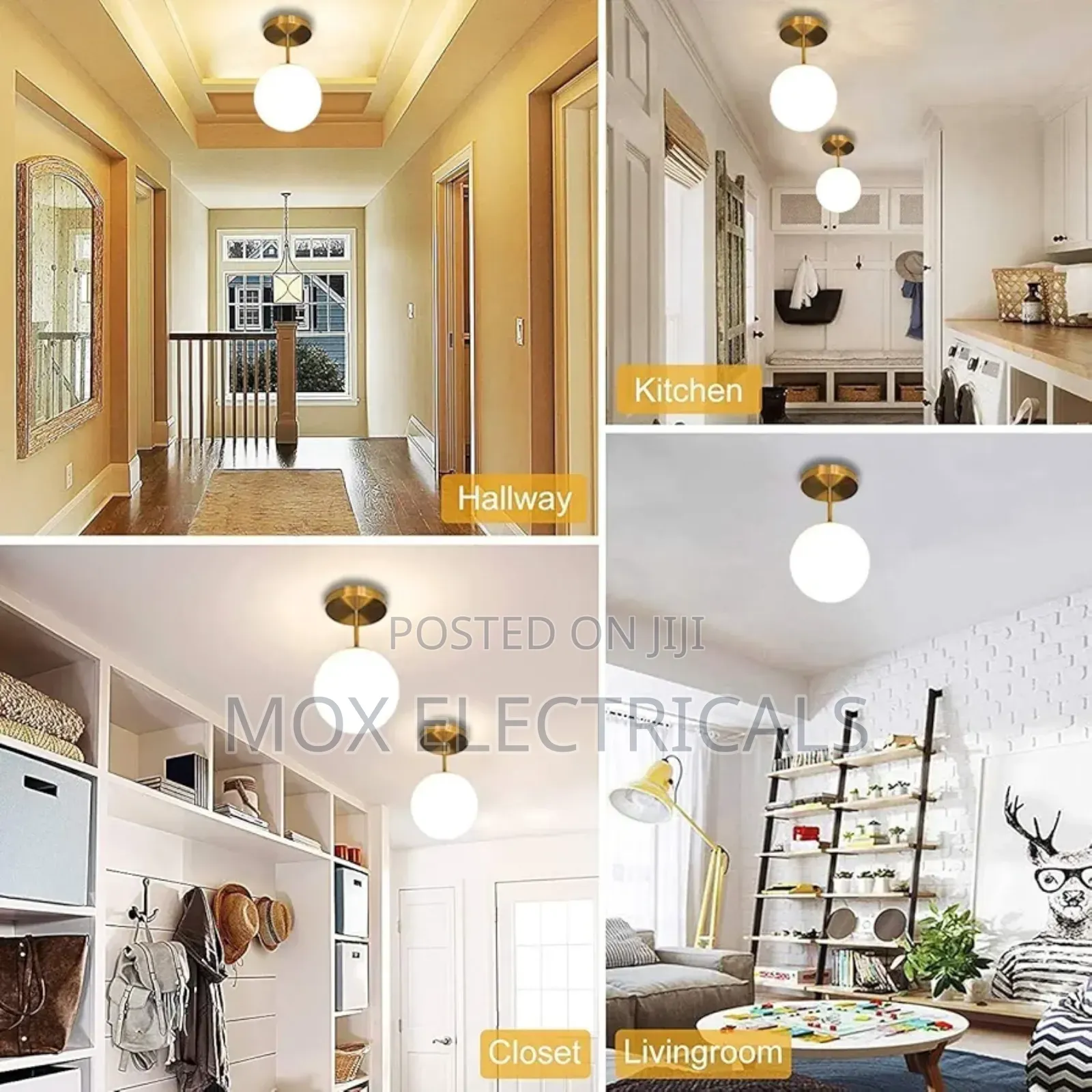 Mahganya Decoration Modern Ceiling Lamp