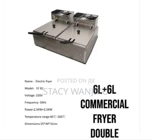 12l Commercial Fryer Double/ Double Deep Fryer Machine