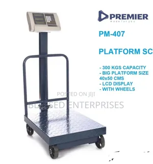 300kgs Digital Weighing Scale/ Digital Weighing Scale