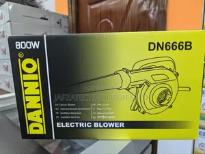 Electric Blower 800W DN666B