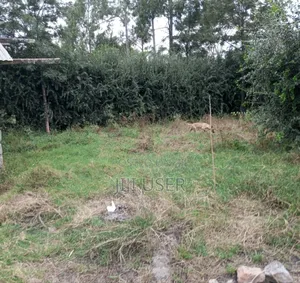 Quarter Acre for Sale at Kitengela Near Sensei