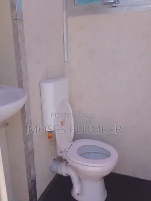 Plumbing Services