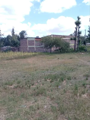 Plot 50 by 100ft -Machakos Kangundo Rd -Kwangongo