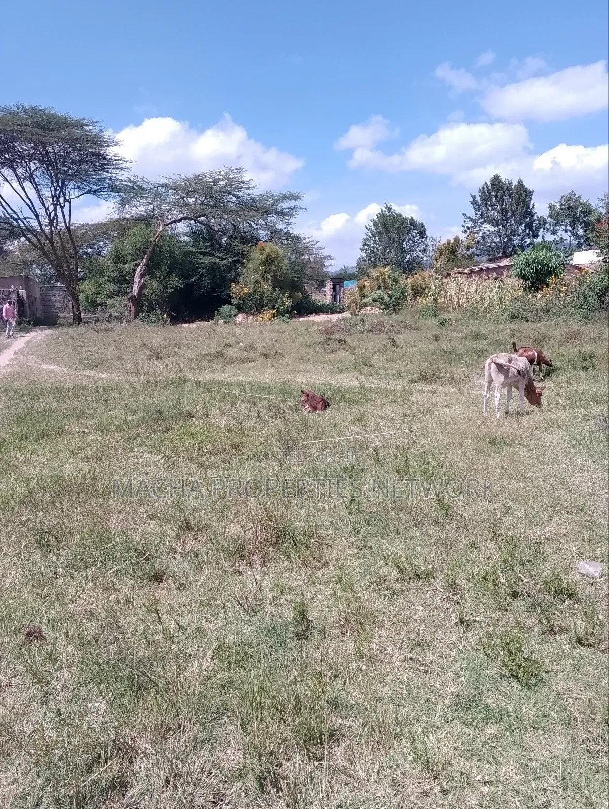 Plot 50 by 100ft -Machakos Kangundo Rd -Kwangongo