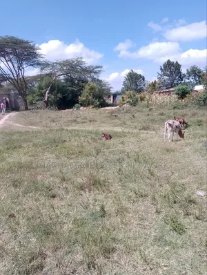 Plot 50 by 100ft -Machakos Kangundo Rd -Kwangongo