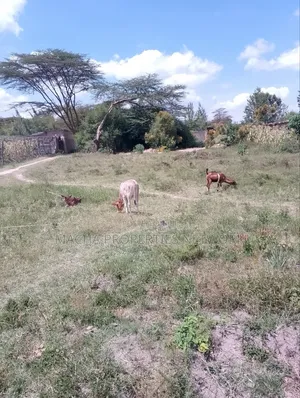 Plot 50 by 100ft -Machakos Kangundo Rd -Kwangongo