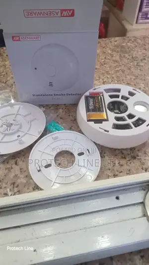 Standalone Smoke Detector With Battery