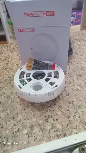 Standalone Smoke Detector With Battery