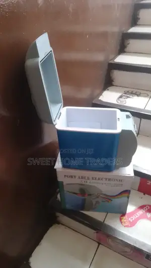 Portable Mini Car Fridge
