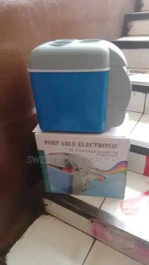Portable Mini Car Refrigerator