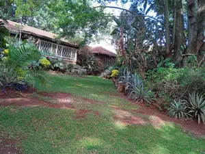 0.8 Acre Land in Lavington for Sale