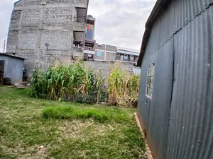 Commercial Full 50 by 100 Plot in Matasia CBD