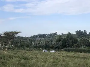Kiserian 2.5 Acre Prime Land