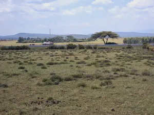 Prime Land Touching Tarmac,3acres