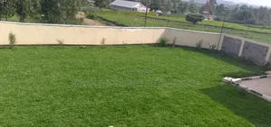 Grass Carpets for Outdoor Spaces