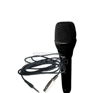 BNK Bk1 Professional Wired Microphone