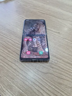 Samsung Galaxy S21 FE 5G 128 GB Gray