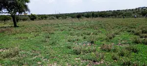 Vacant Plots for Sale in Isinya, Dalalekutuk Area