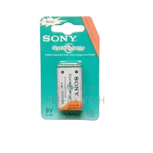 Sony Rechargeable 9V Battery