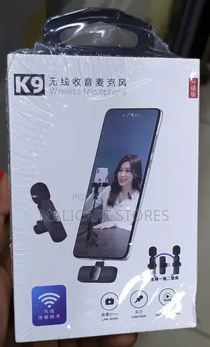  Wireless Lapel Dual Type C Microphone