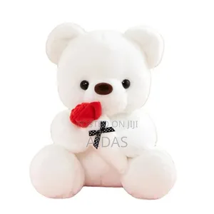 Teddy Bear Valentine's Gift