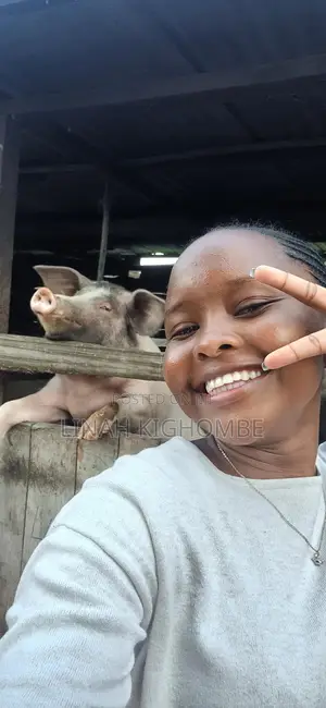 Animal Health Practitioner