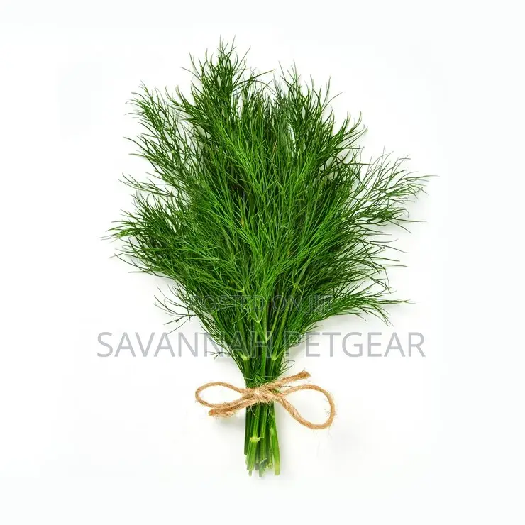 Herbs Dill Dukat F1 10g