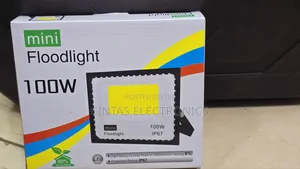 Mini Floodlight IP67 100W