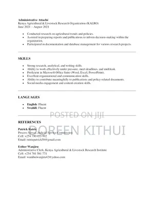 Internship CV