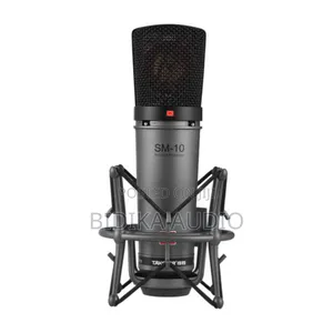 Takstar Sm-10 Unidirectional Recording Microphone Metal