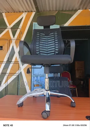Imported Office Chair Headrest