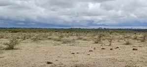 Mwalimu Farm 6 Acres.
