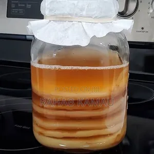 Kombucha Scoby