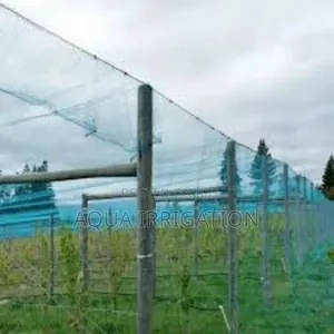 Keep Birds Out – Get Your Bird Net Today!