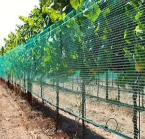 Bird Netting That Lasts – Get Yours Today!