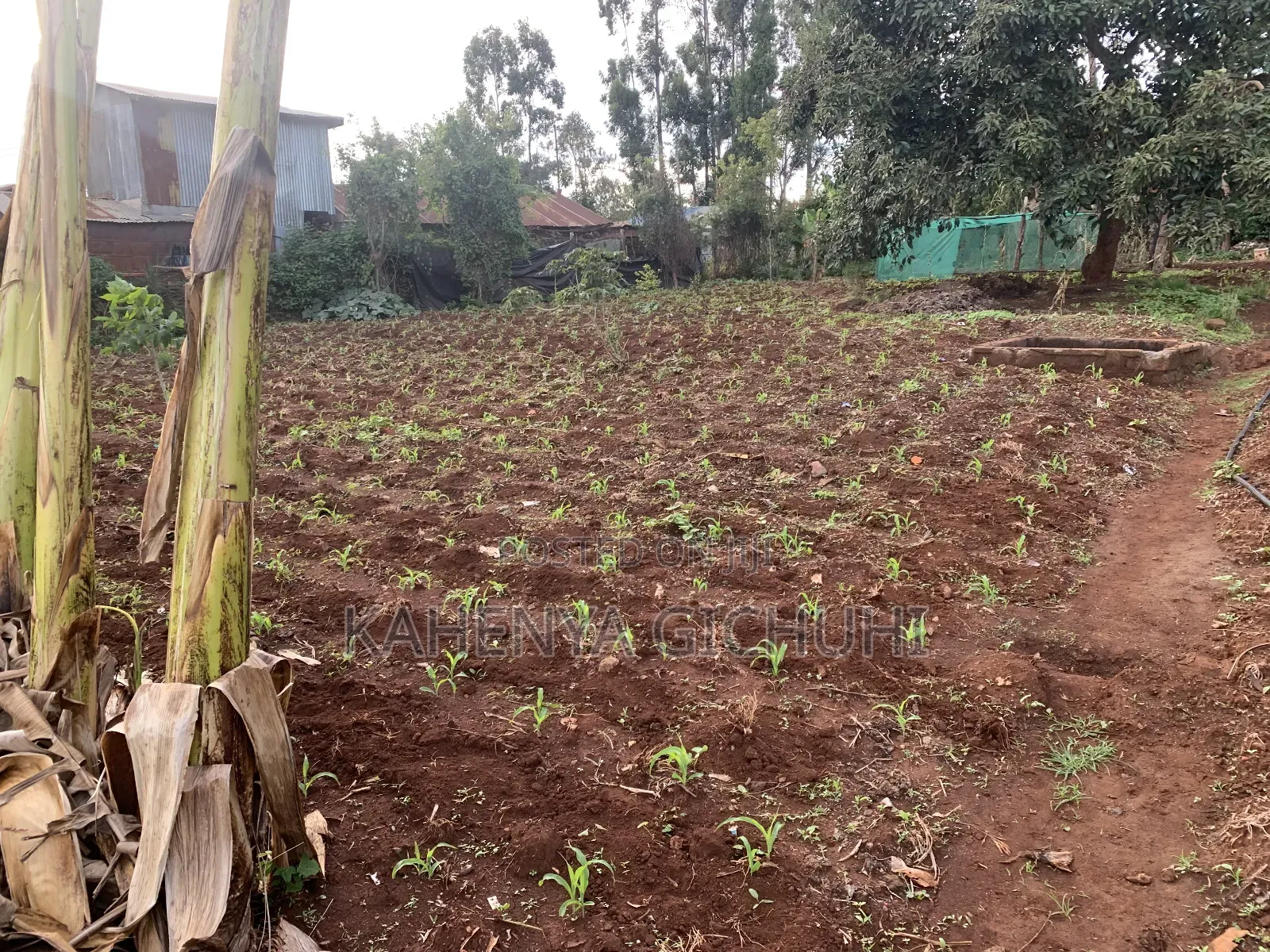 Prime Plot for Sale