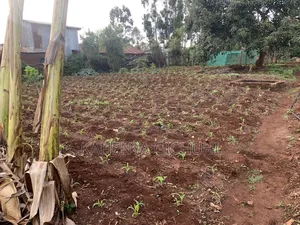 Prime Plot for Sale